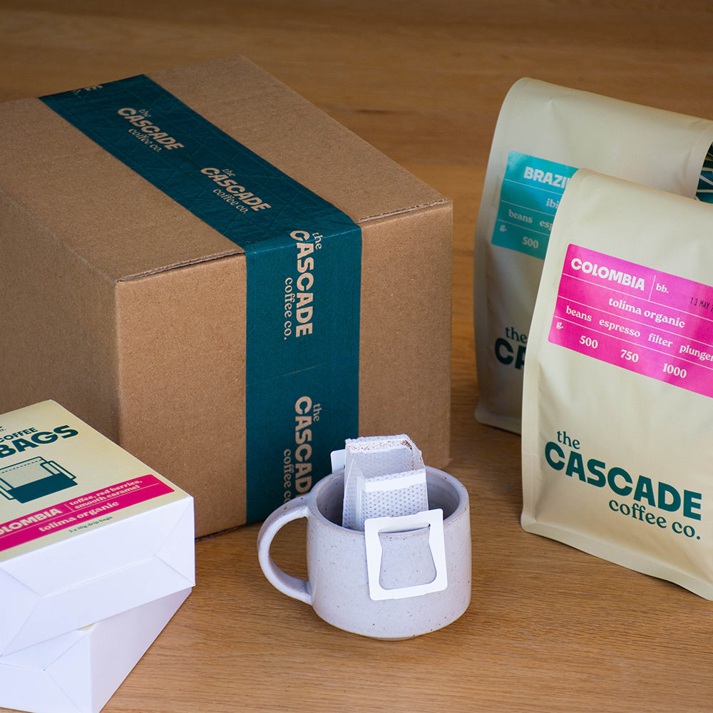 The Discovery Bundle